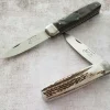 Couteau pliant Hallali Corne de bélier 1 pièce - DOURIS CHASTEL