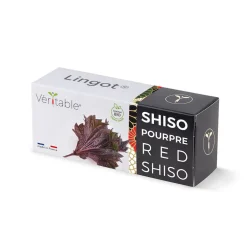 Lingot Shiso pourpre BIO - VERITABLE
