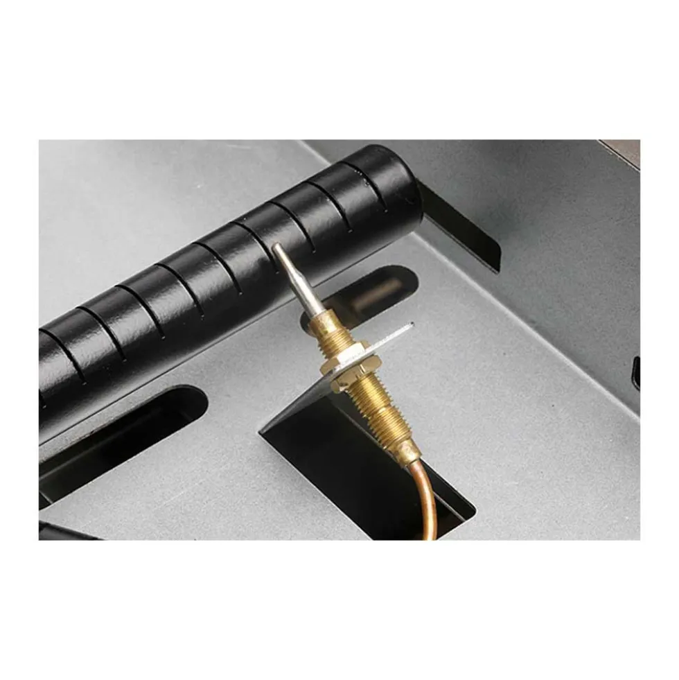 Plancha gaz 60 tout inox 2 brûleurs - ROLLER GRILL